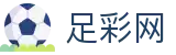 世界杯推荐下注软件正规版本指南 - 中国足彩网